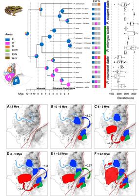 Crossing the Rift valley: using complete mitogenomes to infer the diversification and biogeographic history of ethiopian highlands Ptychadena (anura: Ptychadenidae)